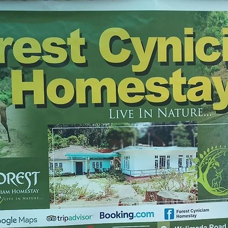 Forest Cyniciam Homestay Охия Экстерьер фото