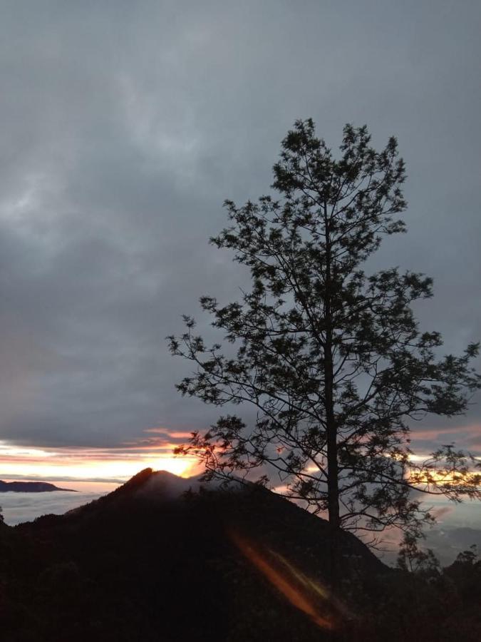 Forest Cyniciam Homestay Охия Экстерьер фото