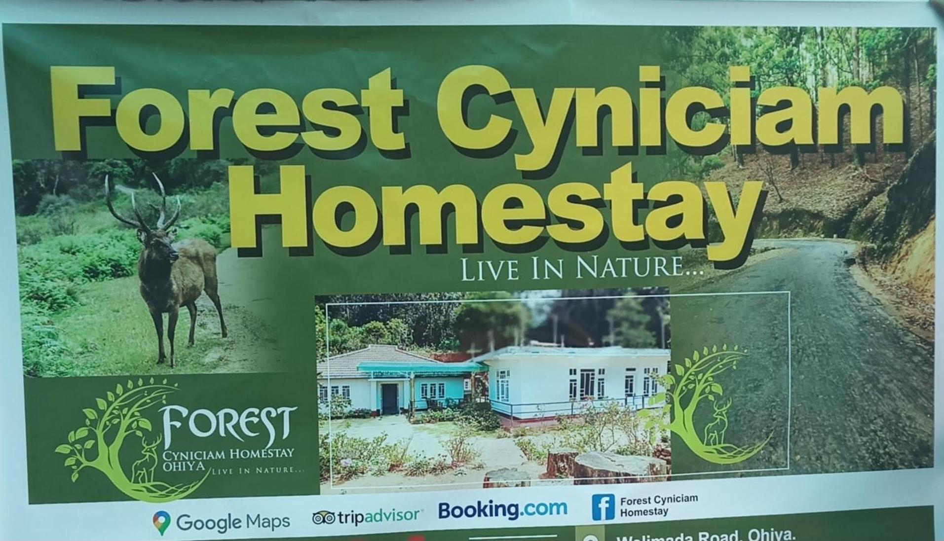Forest Cyniciam Homestay Охия Экстерьер фото
