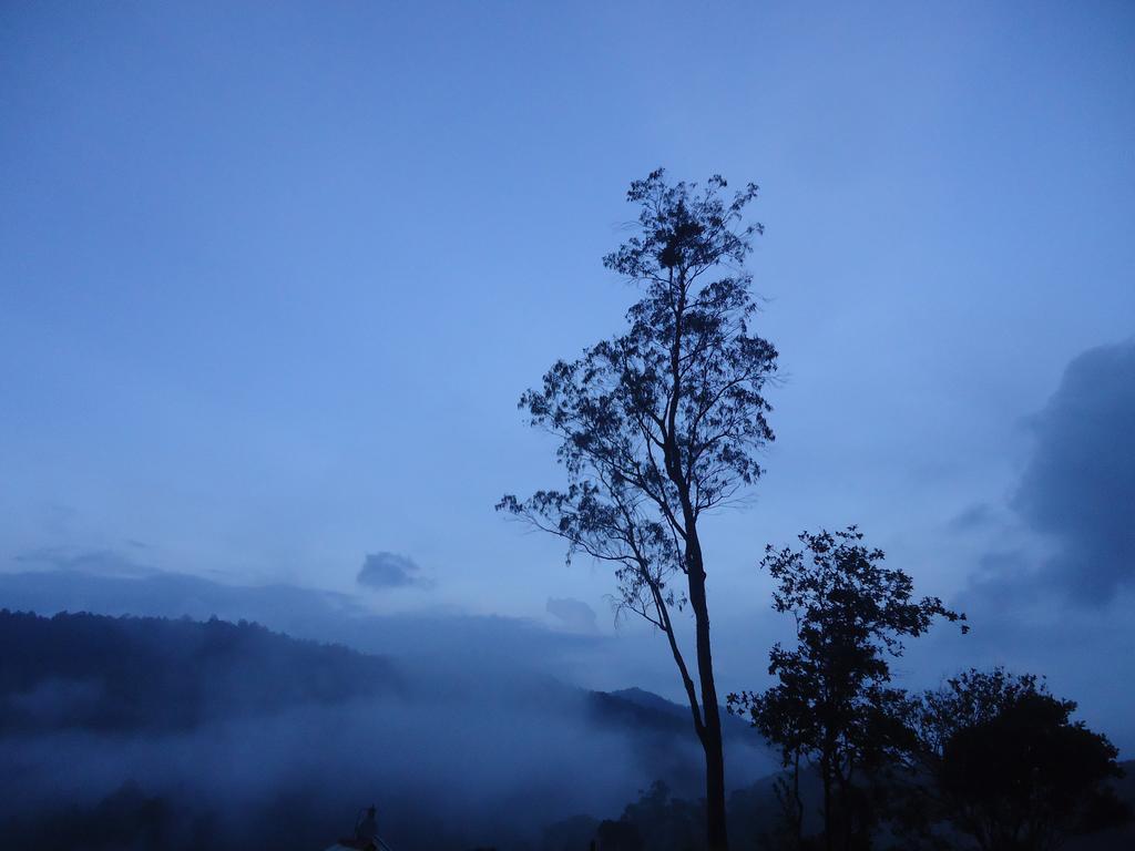 Forest Cyniciam Homestay Охия Экстерьер фото