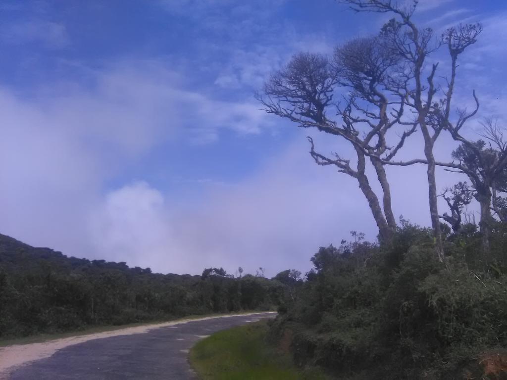 Forest Cyniciam Homestay Охия Экстерьер фото