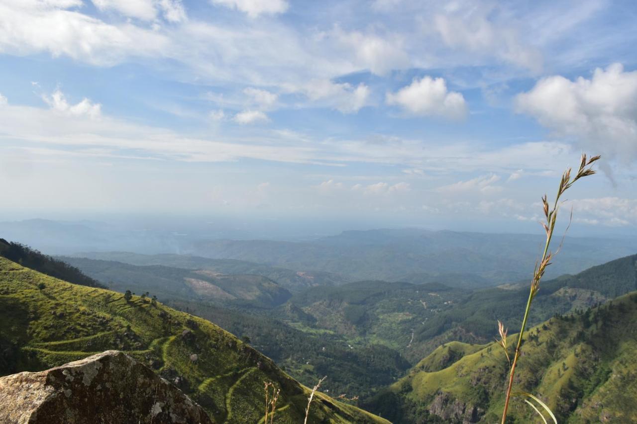 Forest Cyniciam Homestay Охия Экстерьер фото